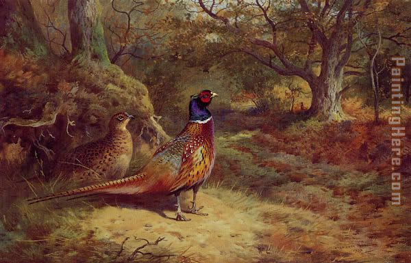 On the Alert painting - Archibald Thorburn On the Alert art painting